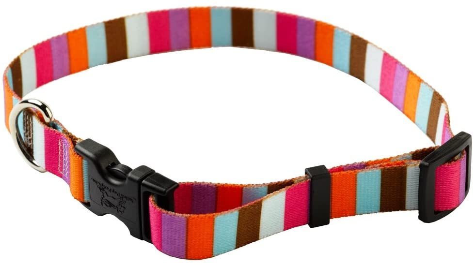 Yellow Dog Design Multi-Stripe Adjustable Collar XS (20-30cm) RRP £8.99 CLEARANCE XL £4.99